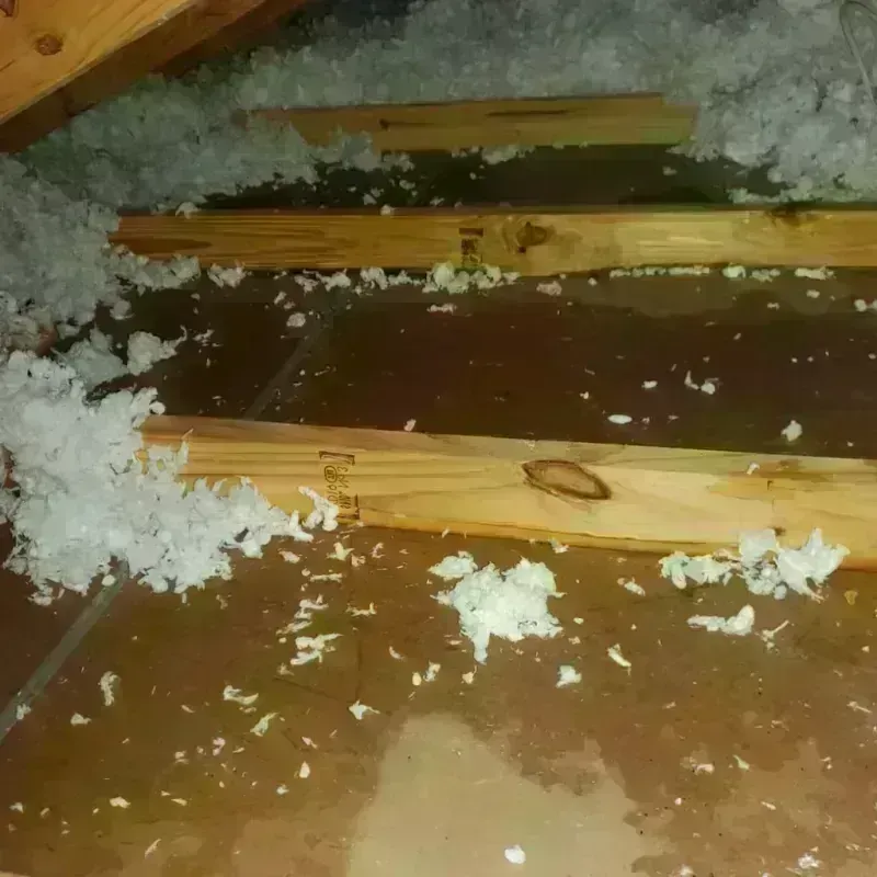 Attic Water Damage in Oregon City, OR