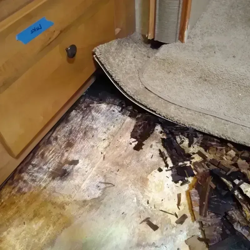 Wood Floor Water Damage in Oregon City, OR